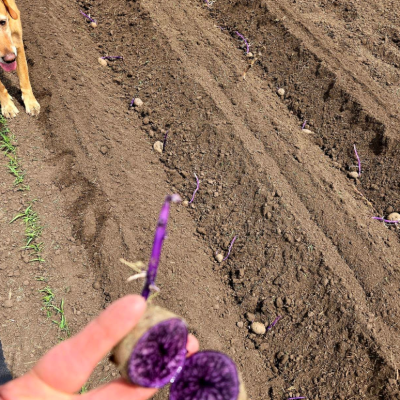 Screenshot 2025-05-15 105752.png