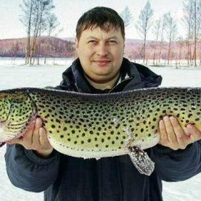 PIKE AMUR (Esox reicherti russia siberia mongolia china  world record biggest fish  world ever...jpg