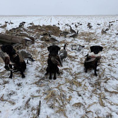 banks tenny snoop.jpeg