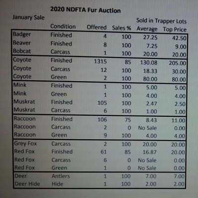 NorthDakotaFurAuctionJan2020.png