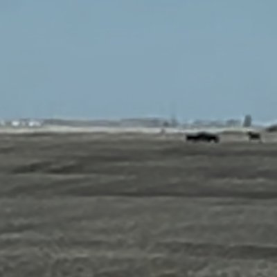 IMG_2784.jpeg