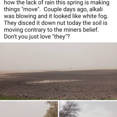 1000005343.jpg