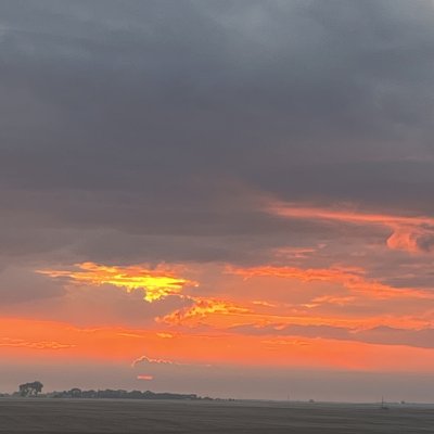IMG_0348.jpeg