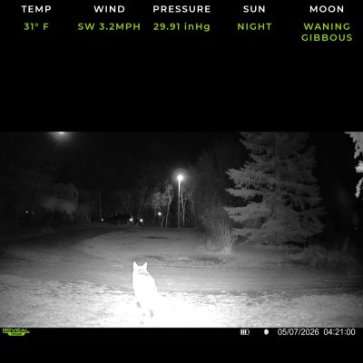 Screenshot_20260617-115637_Reveal.jpg
