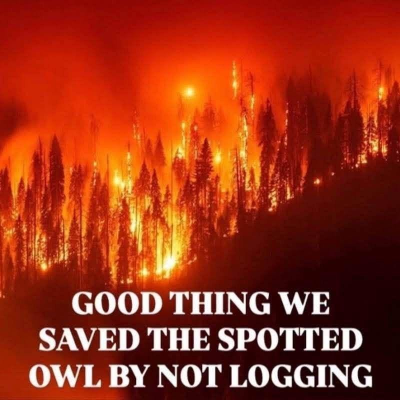 1785808788992.png