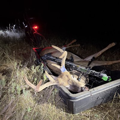 big six down1.jpg