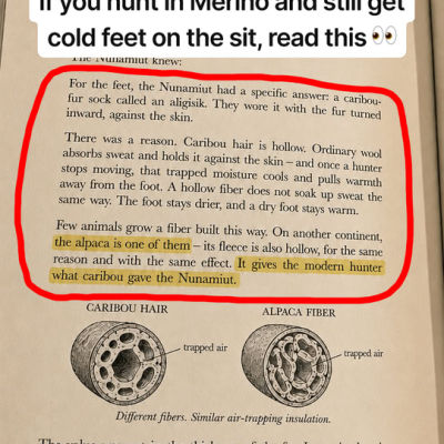 1789587952611.png