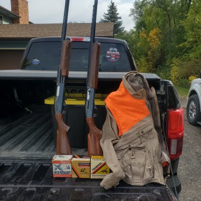 20261008_104459.jpg