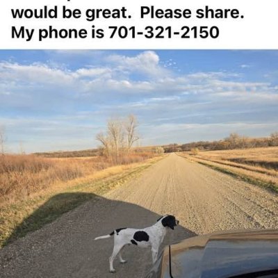 Dog At Linton.jpg