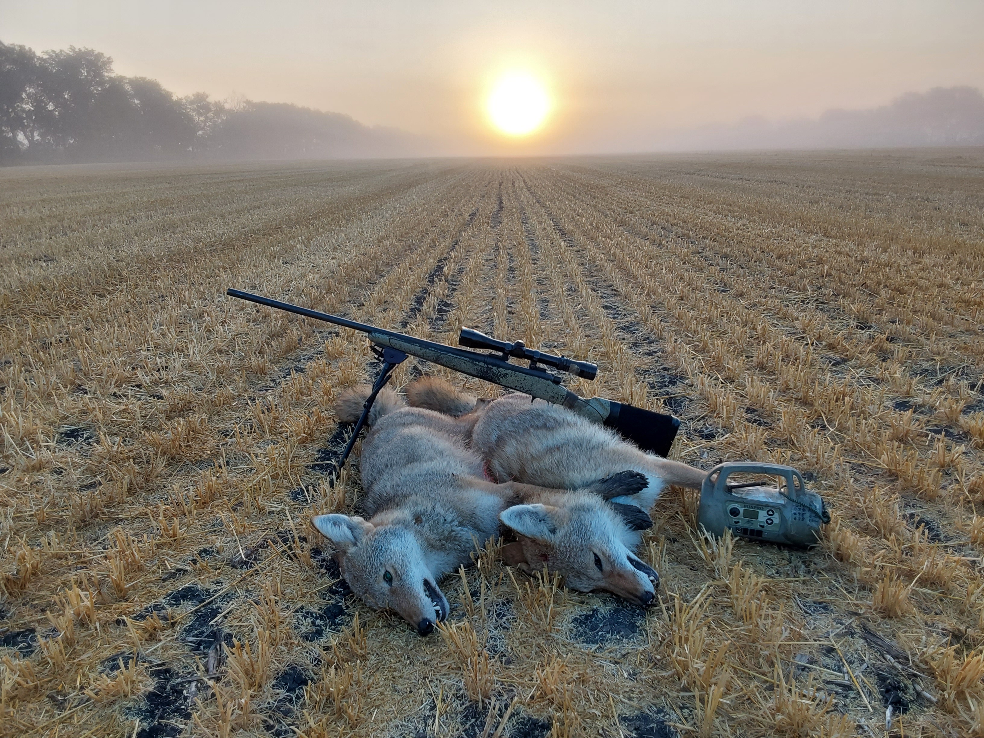 1000002141.jpg