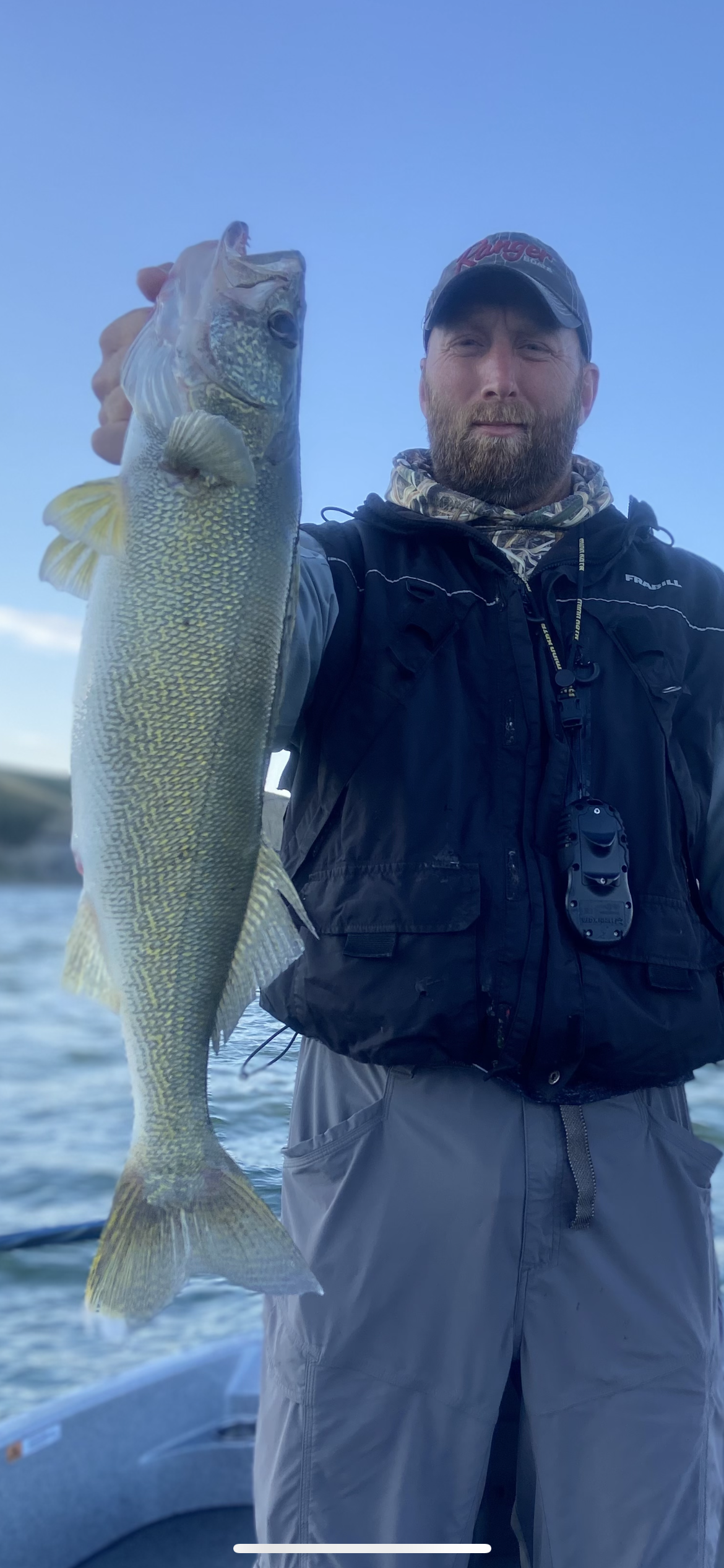 26.5”