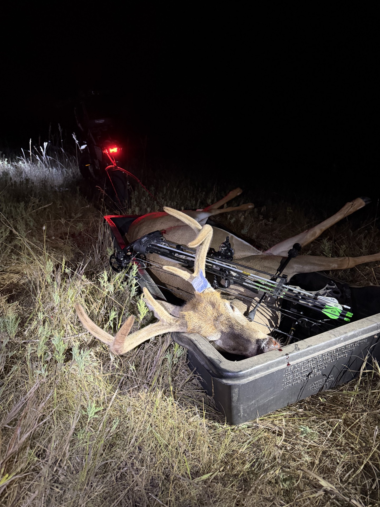 big six down1.jpg