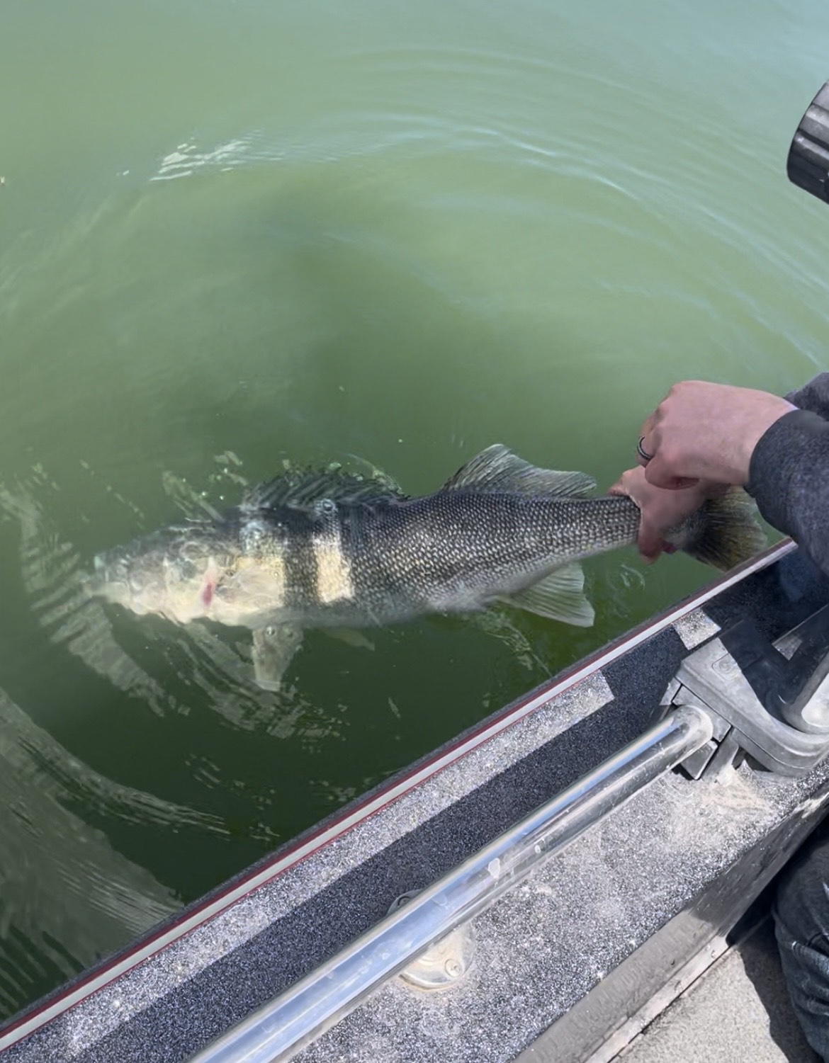 image_123650291.JPG