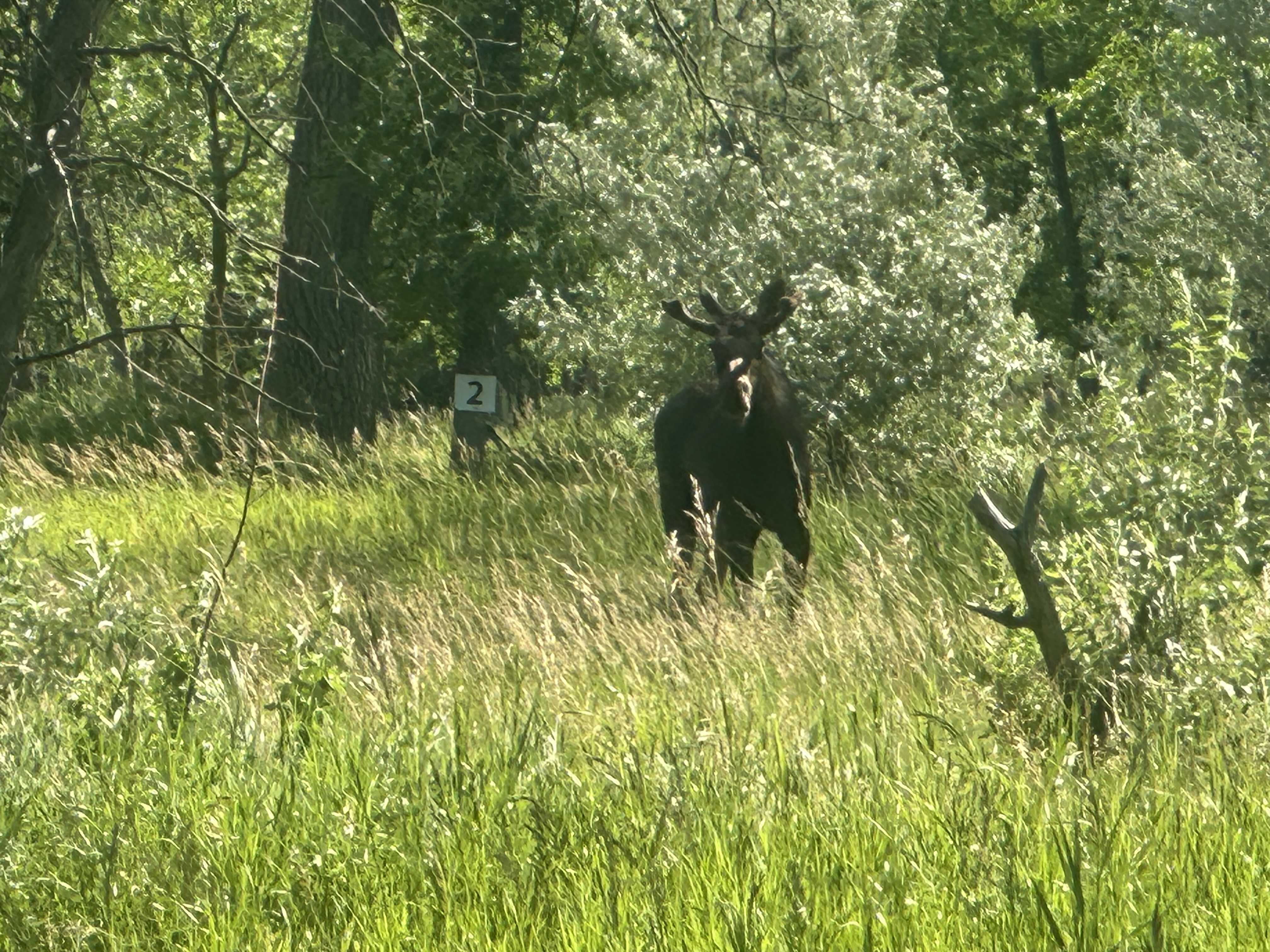 IMG_6308.jpeg