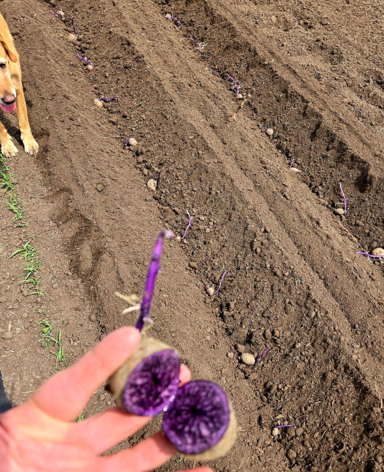 Screenshot 2025-05-15 105752.png