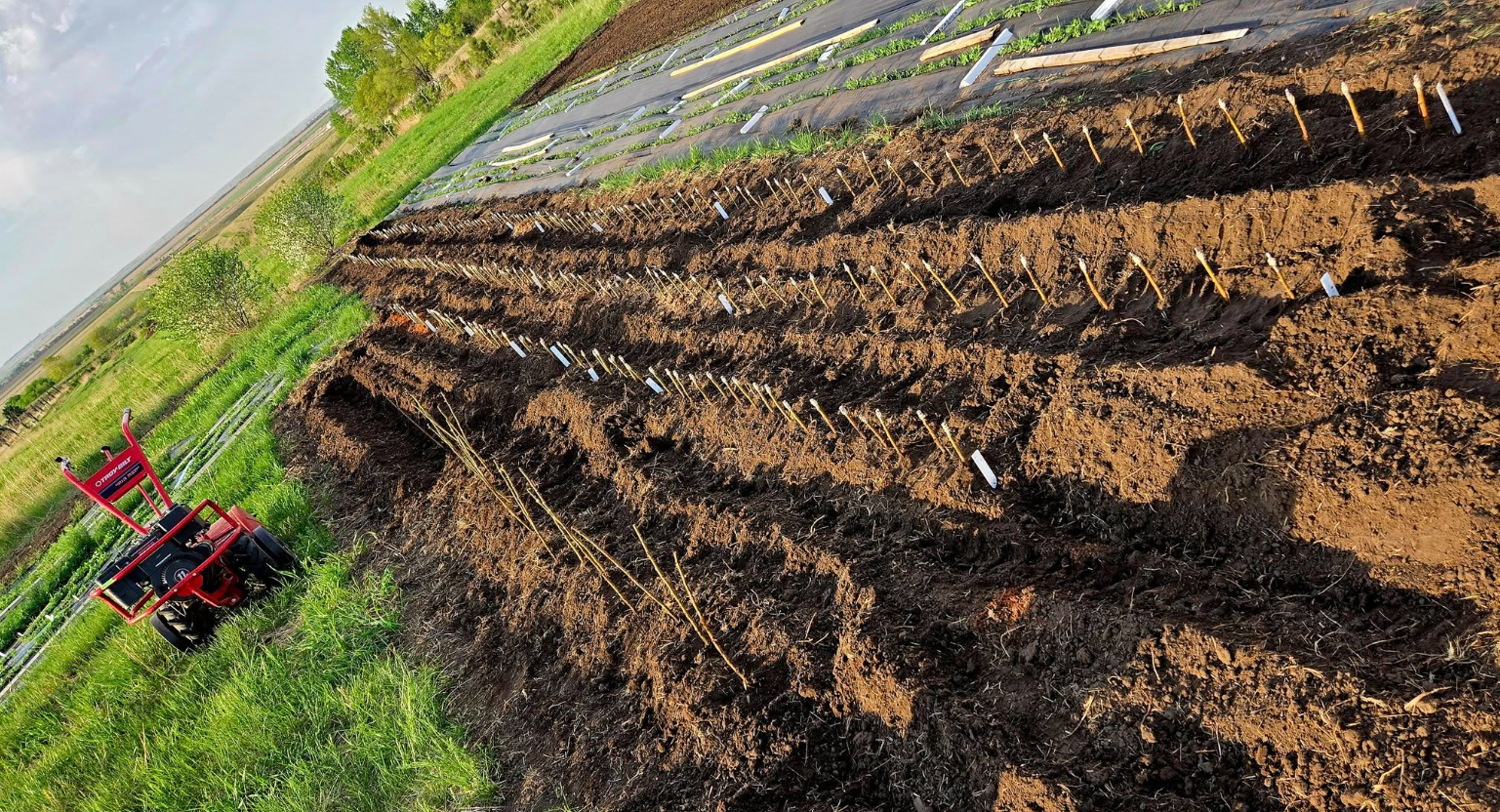 Screenshot 2025-05-15 105938.png