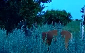 Screenshot_20260703-220058_Reveal.jpg